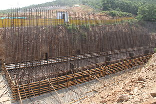 倒排工期，全力推進環山路改建工程高質量建設